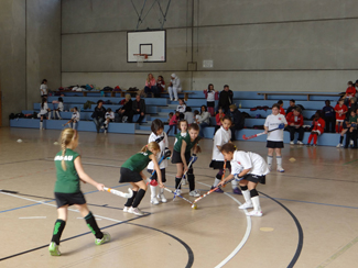 Erfolgreichste Jugendmannschaft des 1. Hanauer THC: die Mädchen D in der Saison 2013-2013