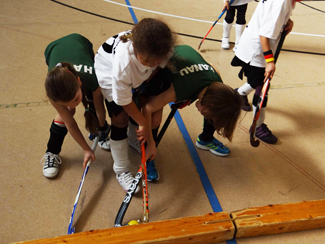 Erfolgreichste Jugendmannschaft des 1. Hanauer THC: die Mädchen D in der Saison 2013-2013