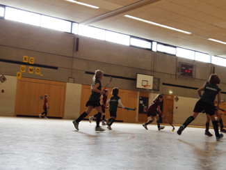 Erfolgreichste Jugendmannschaft des 1. Hanauer THC: die Mädchen D in der Saison 2013-2013