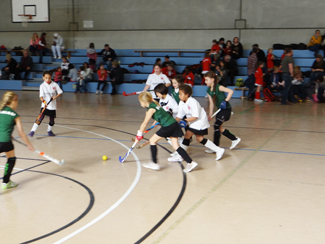 Erfolgreichste Jugendmannschaft des 1. Hanauer THC: die Mädchen D in der Saison 2013-2013