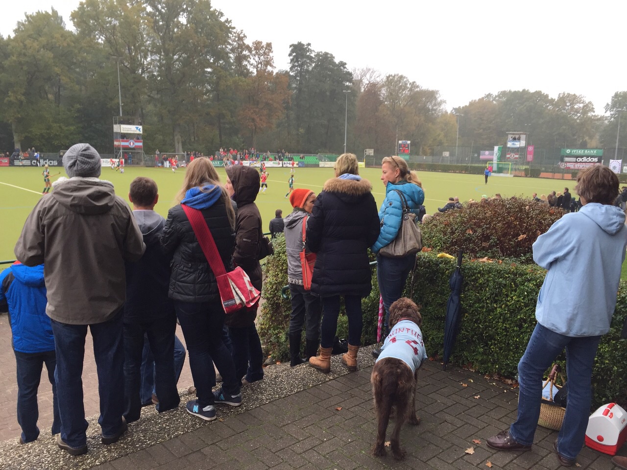 Spielten das Halbfinale um die Deutsche Meisterschaft Feld 2014 - die WJB des 1. Hanauer THC e.V.